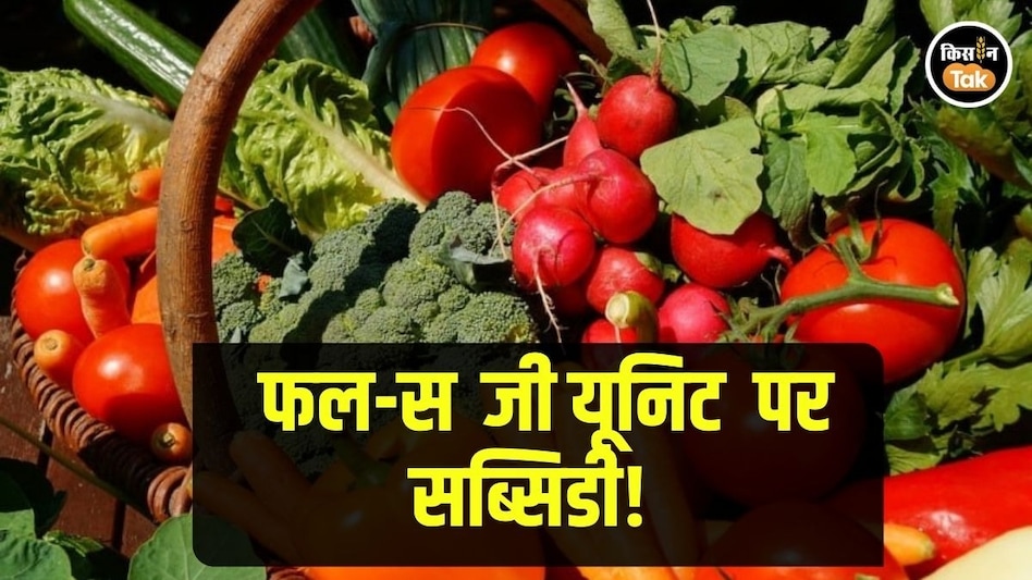 Farmer Subsidy: किसानों को फल-सब्जी यूनिट पर मिलती है 50 फीसदी सब्सिडी, जानें कैसे उठाएं फायदा Farmer Subsidy: किसानों को फल-सब्जी यूनिट पर मिलती है 50 फीसदी सब्सिडी, जानें कैसे उठाएं फायदा
