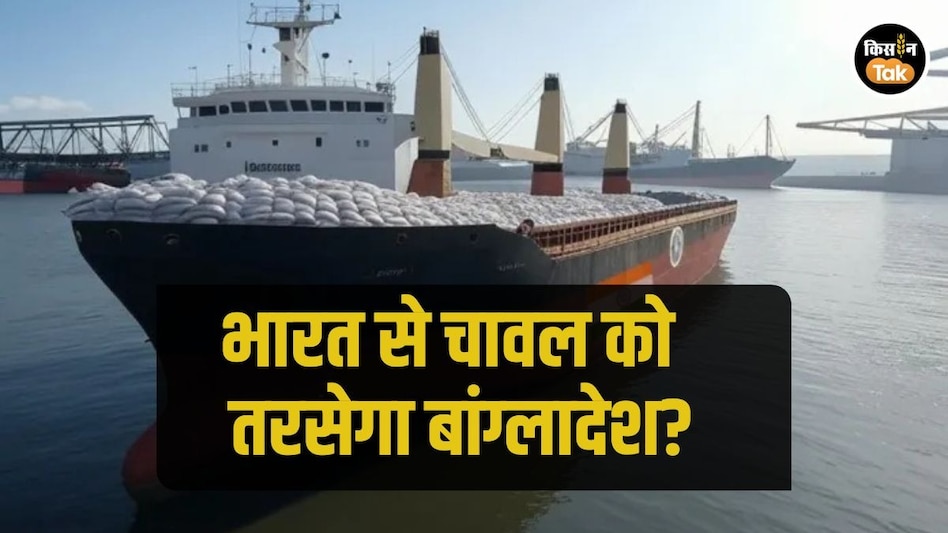 चावल निर्यात को बैन करे भारत! बांग्लादेश में हिंदुओं पर अत्याचार के बीच बड़ी अपील चावल निर्यात को बैन करे भारत! बांग्लादेश में हिंदुओं पर अत्याचार के बीच बड़ी अपील