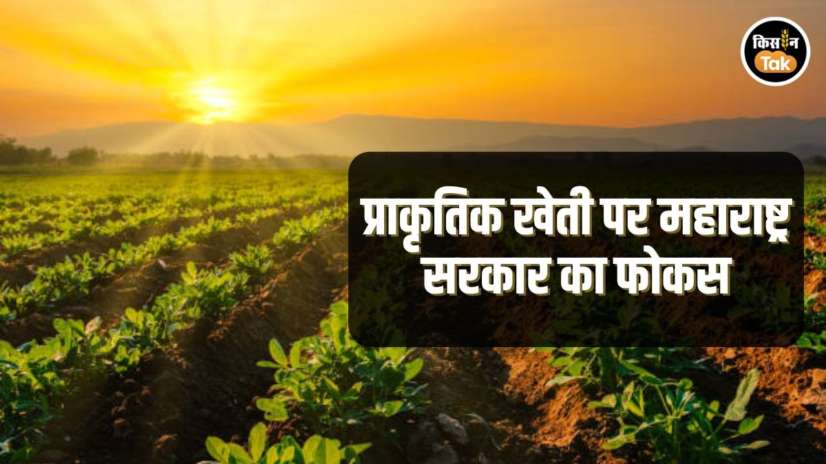 प्राकृतिक खेती को बढ़ावा देगा महाराष्ट्र