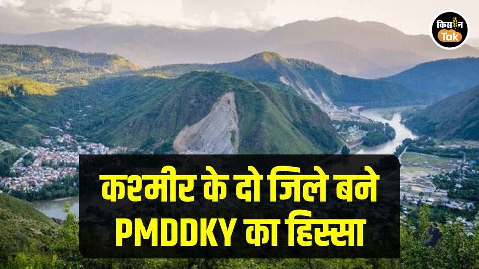 PMDDKY: कश्मीर के दो जिलों को चुना गया धन धान्य कृषि योजना के लिए, जानें क्यों PMDDKY: कश्मीर के दो जिलों को चुना गया धन धान्य कृषि योजना के लिए, जानें क्यों