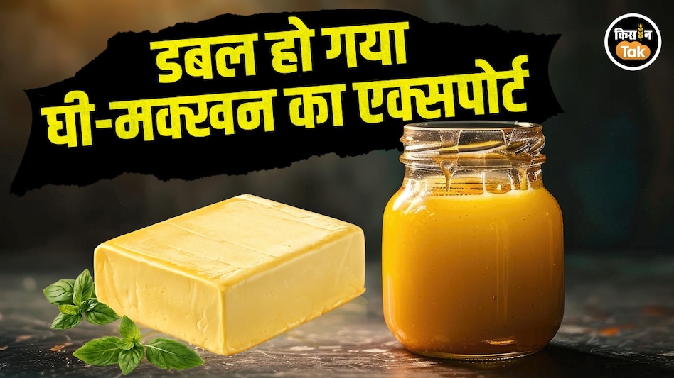 Dairy Export: विदेशों में बढ़ रही है भारतीय दही, घी-मक्खन की डिमांड, एक साल में कहां पहुंचा आंकड़ा Dairy Export: विदेशों में बढ़ रही है भारतीय दही, घी-मक्खन की डिमांड, एक साल में कहां पहुंचा आंकड़ा