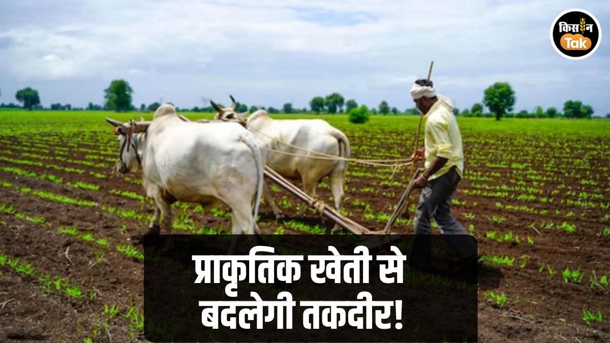 Natural Farming Himachal