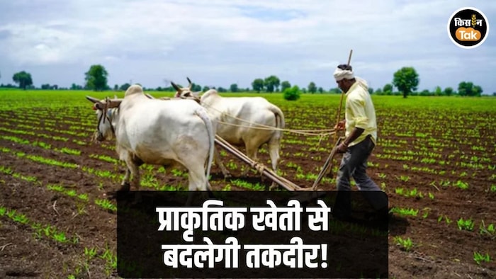 Natural Farming Himachal