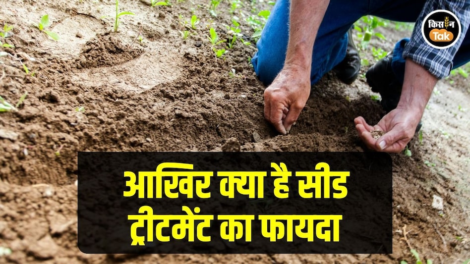 सर्दियों के मौसम में क्यों जरूरी है सीड ट्रीटमेंट, कौन सी फसलों को होगा फायदा सर्दियों के मौसम में क्यों जरूरी है सीड ट्रीटमेंट, कौन सी फसलों को होगा फायदा
