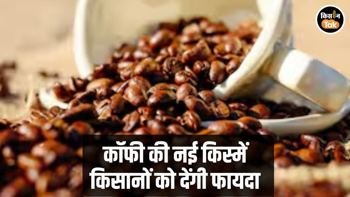 Coffee New Varieties