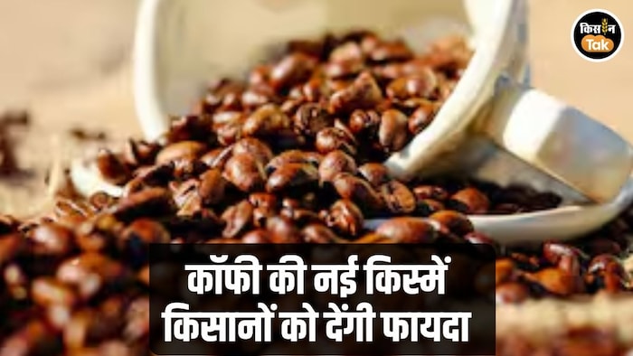 Coffee New Varieties