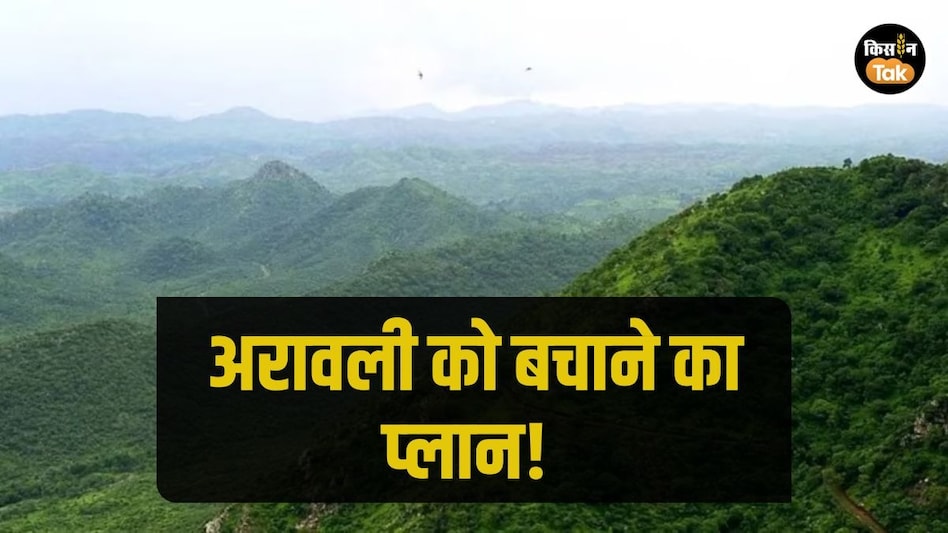 Aravalli News: अरावली पर किसी नई माइनिंग लीज की इजाजत नहीं, विवाद के बीच केंद्र सरकार का बड़ा आदेश Aravalli News: अरावली पर किसी नई माइनिंग लीज की इजाजत नहीं, विवाद के बीच केंद्र सरकार का बड़ा आदेश