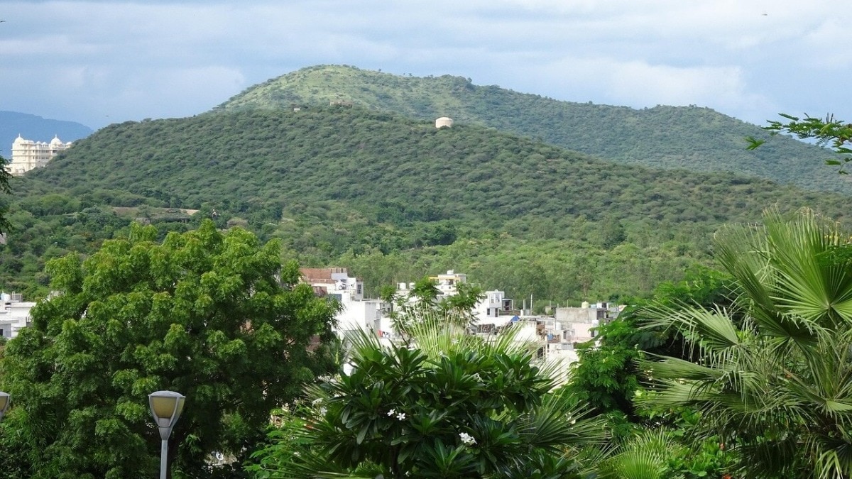 पर्यावरण और भविष्य के लिए उठी युवाओं की आवाज़