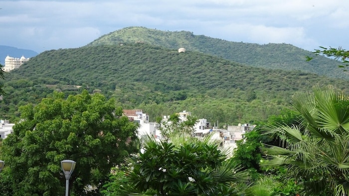 पर्यावरण और भविष्य के लिए उठी युवाओं की आवाज़