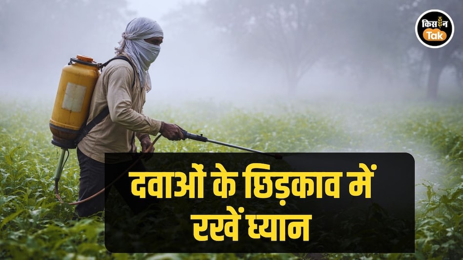Farmer Safety: घने कोहरे या तेज हवा में क्यों नहीं करना चाहिए दवा का छिड़काव, जानें Farmer Safety: घने कोहरे या तेज हवा में क्यों नहीं करना चाहिए दवा का छिड़काव, जानें