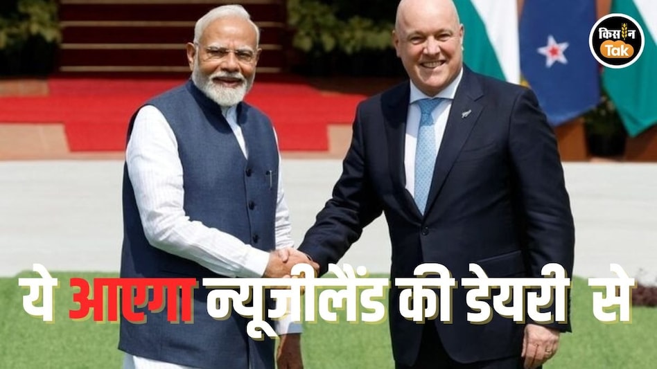 FTA Agreement on Dairy: भारत ने न्यूजीलैंड के लिए खोले डेयरी के दरवाजे, लेकिन कंडीशन अप्लाई FTA Agreement on Dairy: भारत ने न्यूजीलैंड के लिए खोले डेयरी के दरवाजे, लेकिन कंडीशन अप्लाई