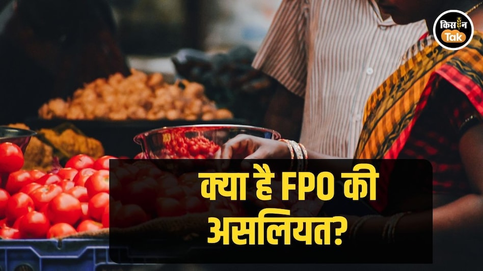 Myth vs Fact: क्या किसी FPO से जुड़ना वाकई बेहद मुश्किल है, जानें सबकुछ Myth vs Fact: क्या किसी FPO से जुड़ना वाकई बेहद मुश्किल है, जानें सबकुछ