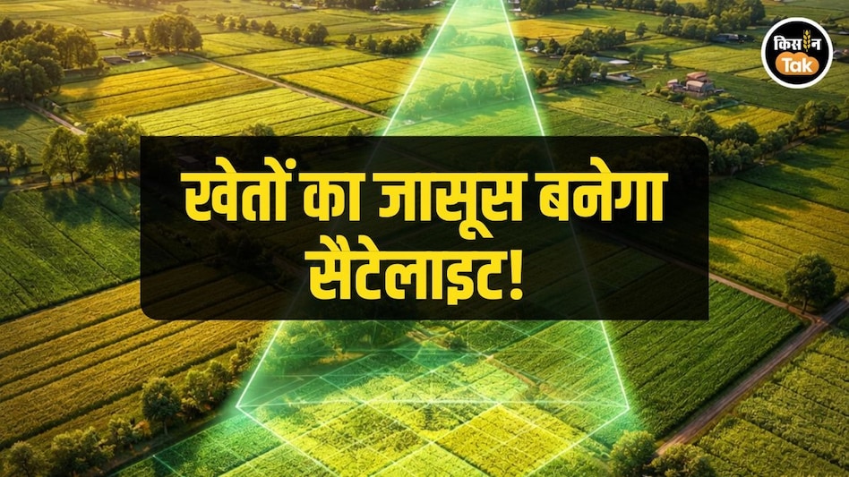 Crop Survey: रबी सीजन में न हो फर्जीवाड़ा! सैटेलाइट रखेंगे किसानों के खेत पर नजर Crop Survey: रबी सीजन में न हो फर्जीवाड़ा! सैटेलाइट रखेंगे किसानों के खेत पर नजर