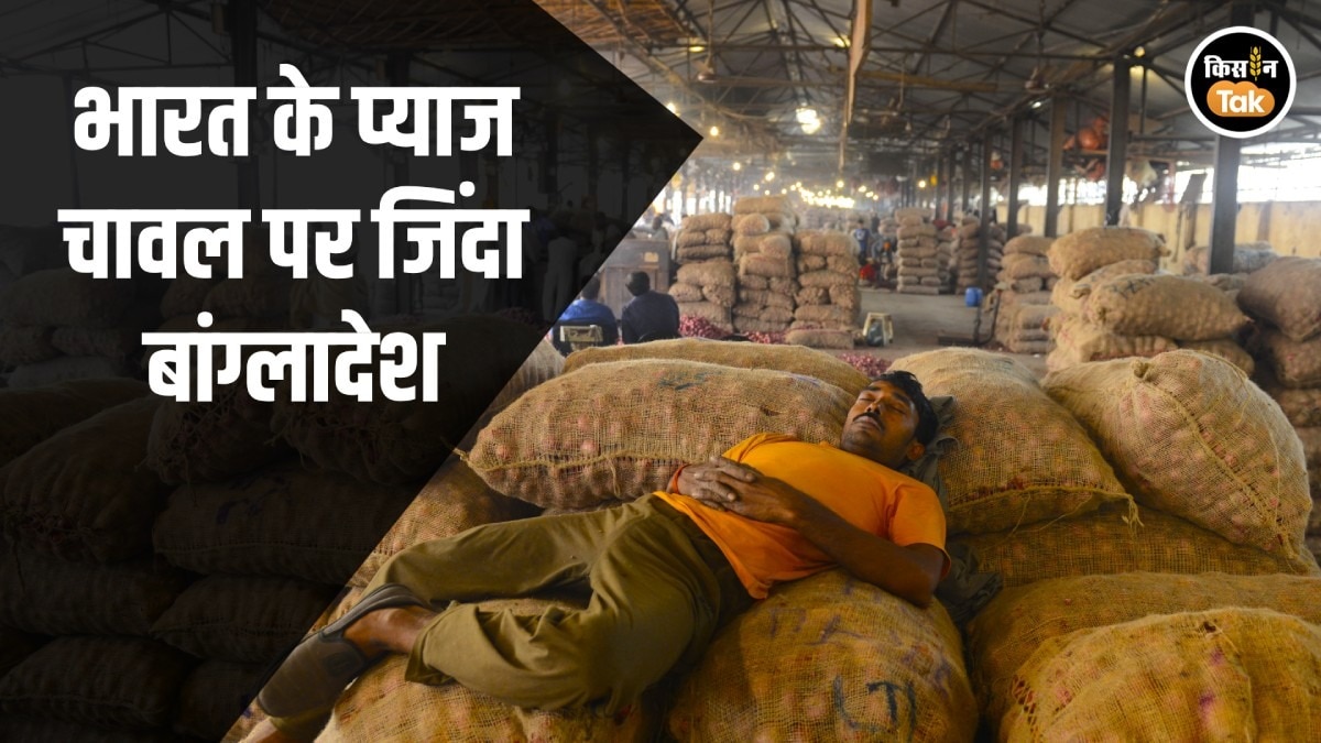 Onion Export: भारत के प्याज और चावल के लिए तरसा बांग्लादेश, इंपोर्ट खुलने से सुधरे हालात