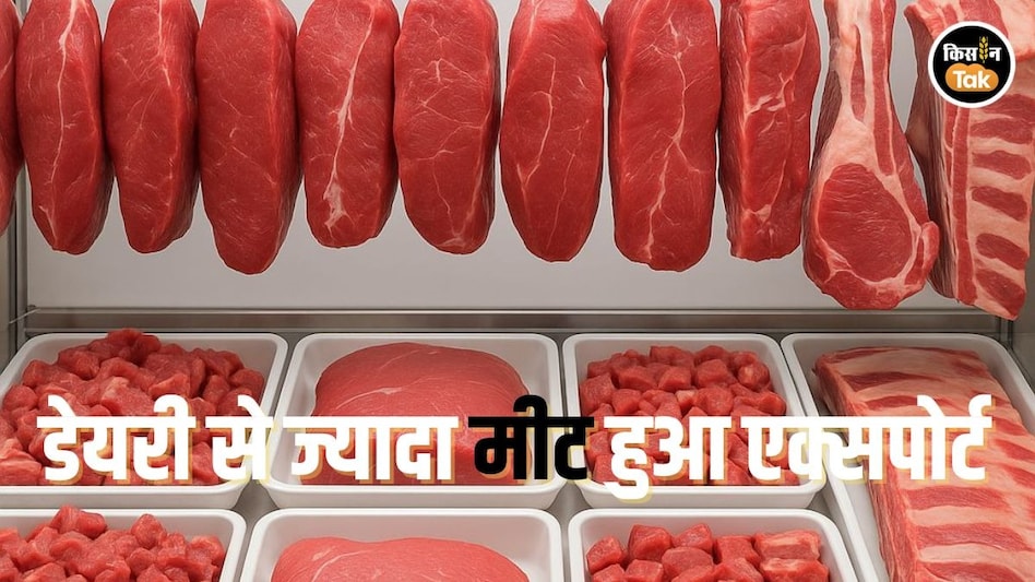 Animal Product Export: पशुपालन से डेयरी या मीट किसका हुआ सबसे ज्यादा एक्सपोर्ट, ये रहे आंकड़े Animal Product Export: पशुपालन से डेयरी या मीट किसका हुआ सबसे ज्यादा एक्सपोर्ट, ये रहे आंकड़े