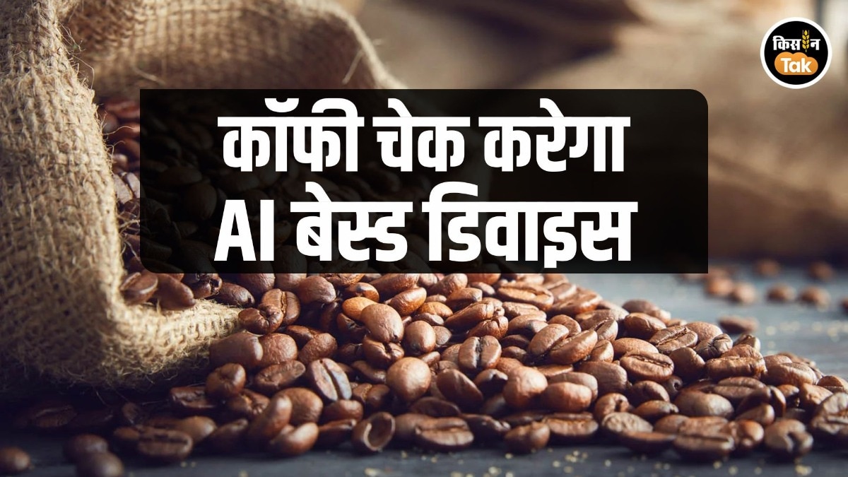 Coffee Farmer: AI और इमेज प्रोसेसिंग से होगी कॉफी की जांच, भारत में बनकर तैयार हुआ ये डिजिटल ग्रेडिंग डिवाइस