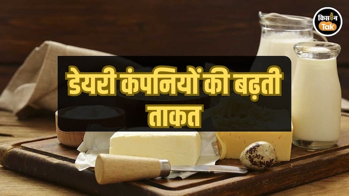 छोटे और बड़े डेयरी व्यापार में अंतर बढ़ा