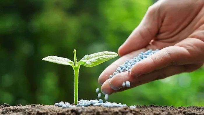 बायो फर्टिलाइजर