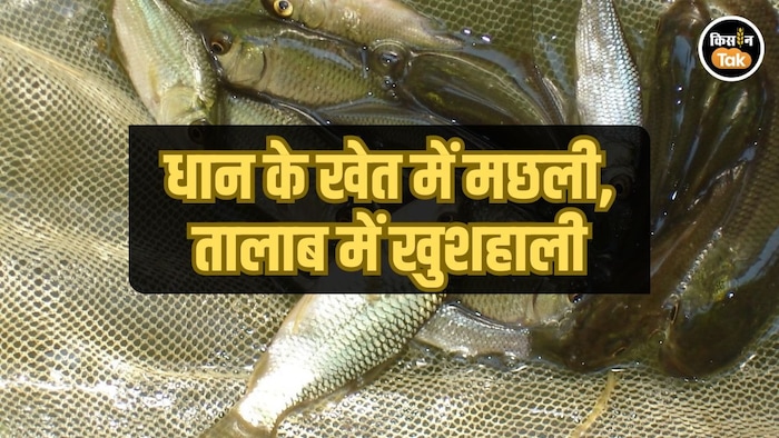 ICAR–IISWC ने दिखाया मछली पालन का भविष्य