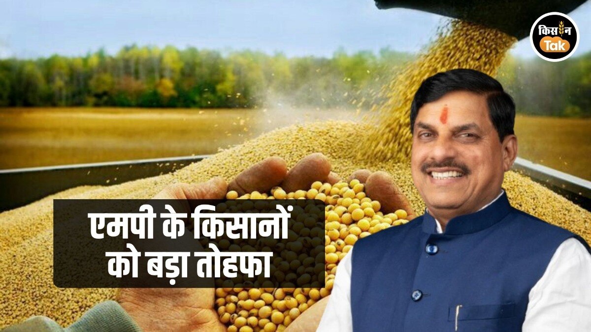 MP के किसानों को मिली बड़ी खुशखबरी, CM Mohan Yadav ने इन किसानों के खाते में भेजे पैसे...