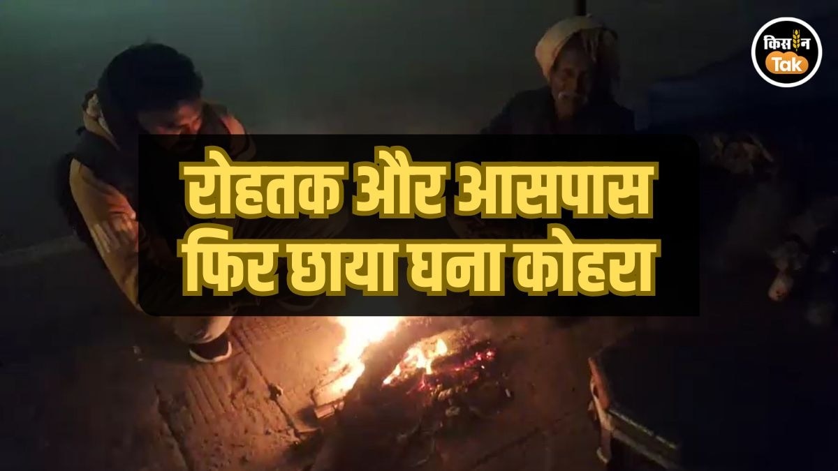 रोहतक में फिर लौटा घना कोहरा, सड़कों पर रेंगते वाहन, बढ़ी ठंड, किसान भी परेशान