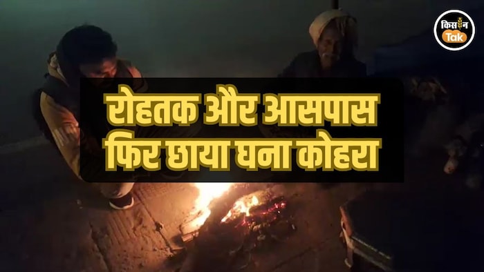 धूप के बाद कोहरे की दस्तक