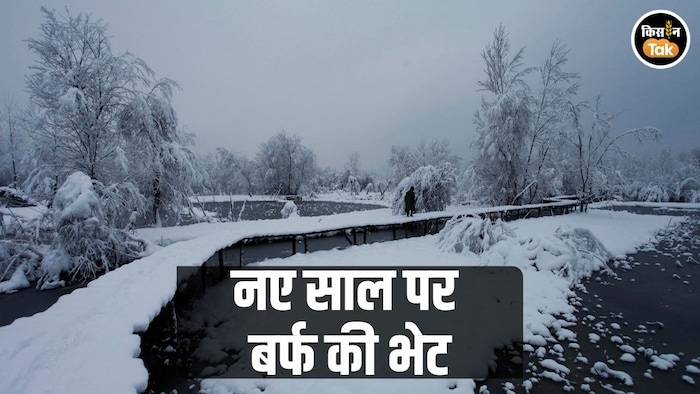 बर्फबारी लेकर आएगा नया साल