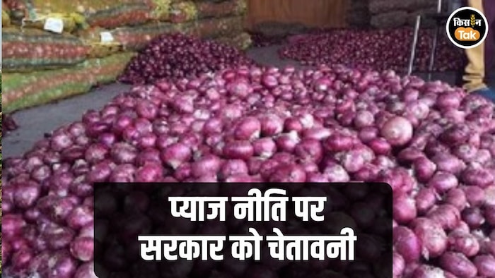 Onion Price Warning to govt