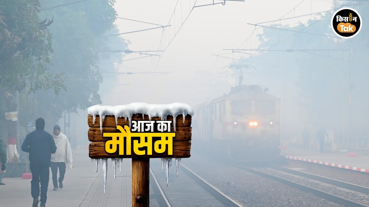 Weather News: साल के आखिरी दिन बारिश और ठंड का अलर्ट जारी, जानें कहां-कैसा रहेगा मौसम