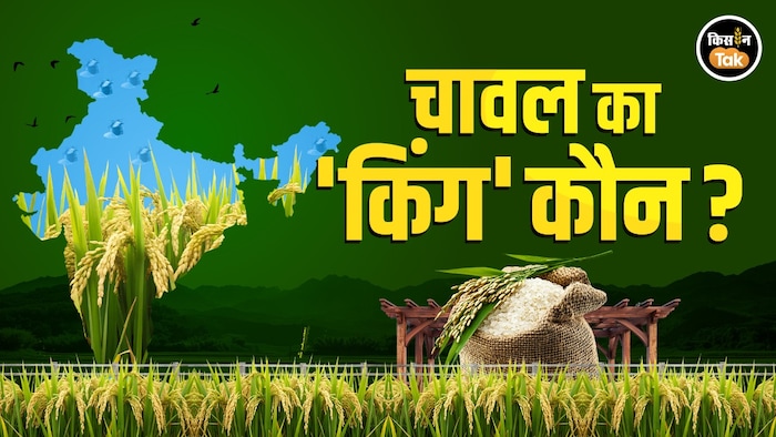 भारत में कितना चावल पैदा होता है?