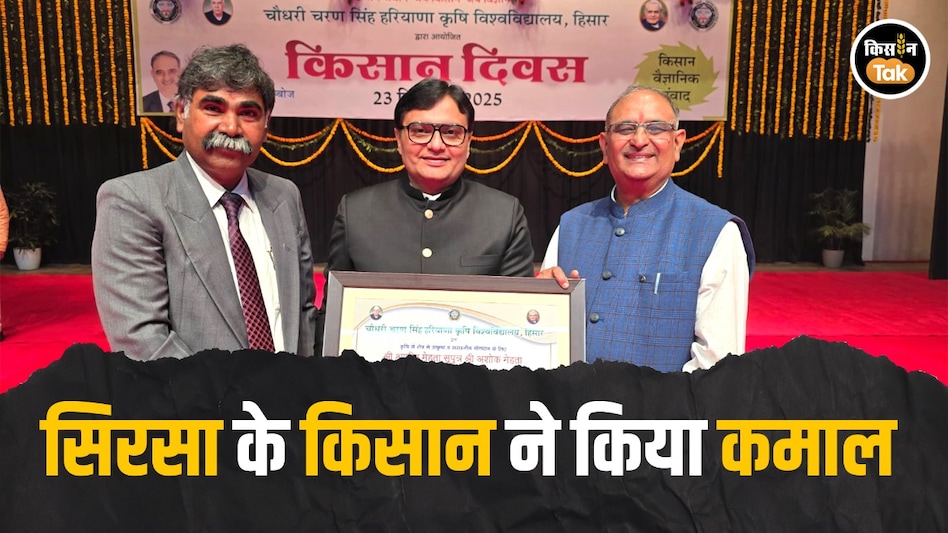 सिरसा के आशीष मेहता को किसान रत्न अवॉर्ड, इस तरह खेती करके कायम की मिसाल, पढ़ें डिटेल सिरसा के आशीष मेहता को किसान रत्न अवॉर्ड, इस तरह खेती करके कायम की मिसाल, पढ़ें डिटेल