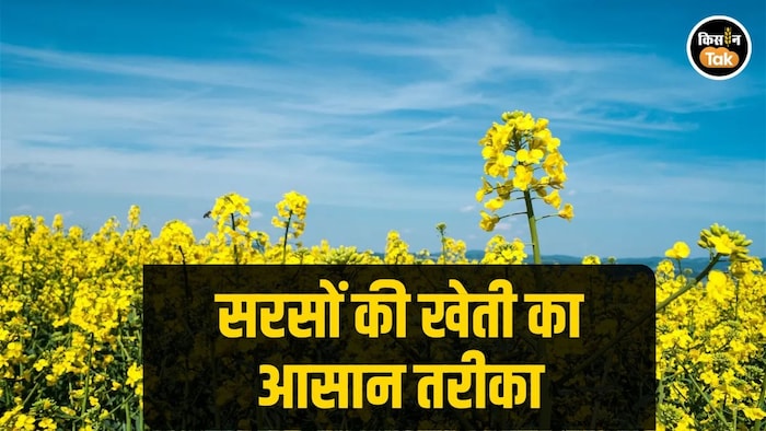 ना खरपतवार, ना कीट का डर