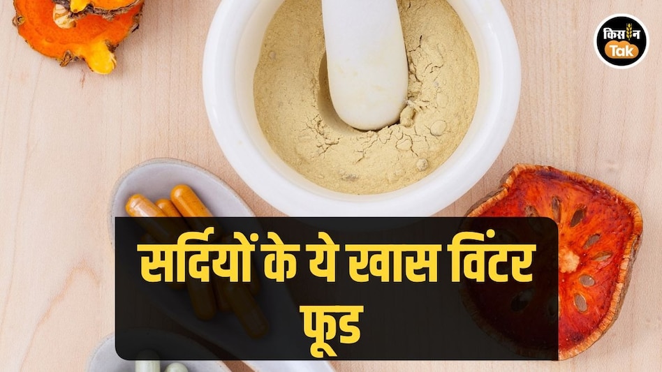 Winter Food: सर्दी हो या जुकाम, ठंड में करें इन 5 चीजों का सेवन, जानें कौन-कौन सी Winter Food: सर्दी हो या जुकाम, ठंड में करें इन 5 चीजों का सेवन, जानें कौन-कौन सी