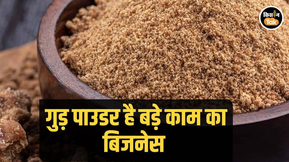 Agri Business: कैसे तैयार होता है गुड़ पाउडर, बिजनेस में होता है कितना मुनाफा, समझें सबकुछ Agri Business: कैसे तैयार होता है गुड़ पाउडर, बिजनेस में होता है कितना मुनाफा, समझें सबकुछ