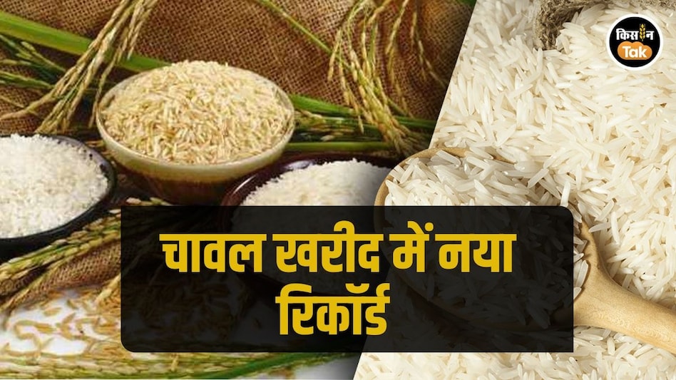 Rice Procurement: पंजाब में कम खरीद के बाद भी चावल का स्टॉक फुल, 3 महीनों में ही बना यह रिकॉर्ड Rice Procurement: पंजाब में कम खरीद के बाद भी चावल का स्टॉक फुल, 3 महीनों में ही बना यह रिकॉर्ड