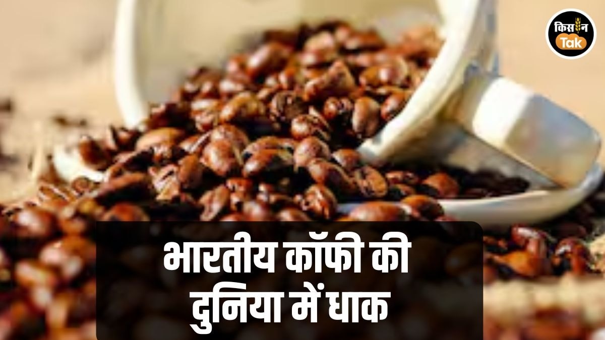 Coffee Export: 2025 में भारत का कॉफी निर्यात 2 अरब डॉलर के पार, 'सदाबहार दोस्‍त' ने निभाया तगड़ा साथ