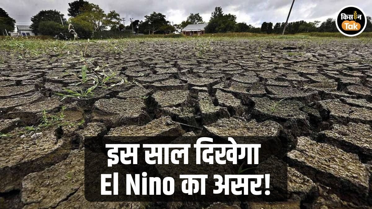 अल नीनो को लेकर बड़ा अपडेट