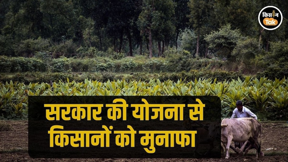 Maharashtra Farmers: युवा किसान मसाला प्रोसेसिंग इंडस्ट्री से कमा रहे लाखों, मिलती है सब्सिडी भी Maharashtra Farmers: युवा किसान मसाला प्रोसेसिंग इंडस्ट्री से कमा रहे लाखों, मिलती है सब्सिडी भी