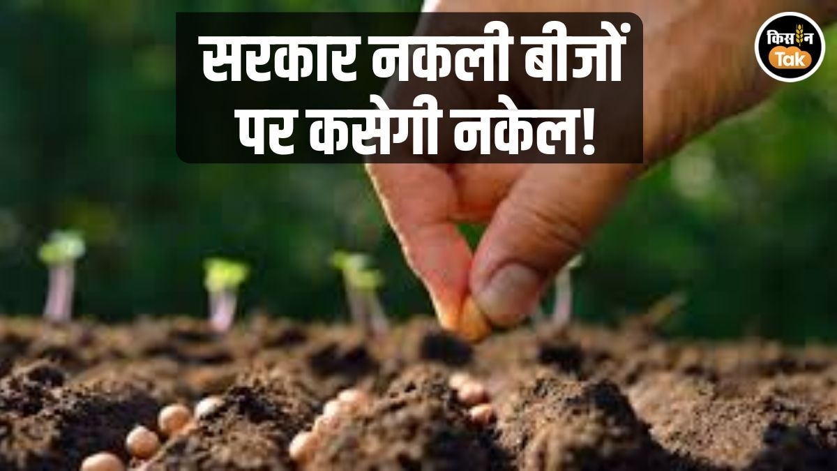 नकली बीज