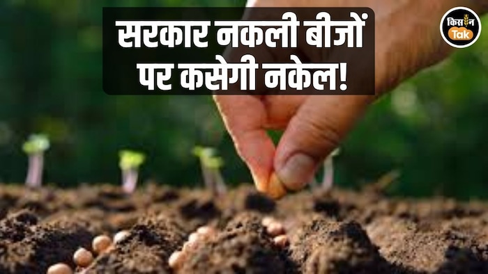 नकली बीज