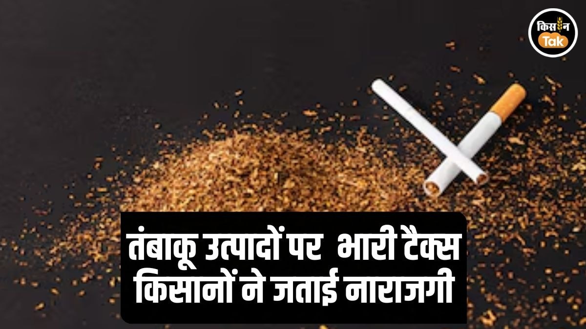 Tobacco Heavy Tax Oppose