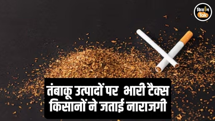 Tobacco Heavy Tax Oppose