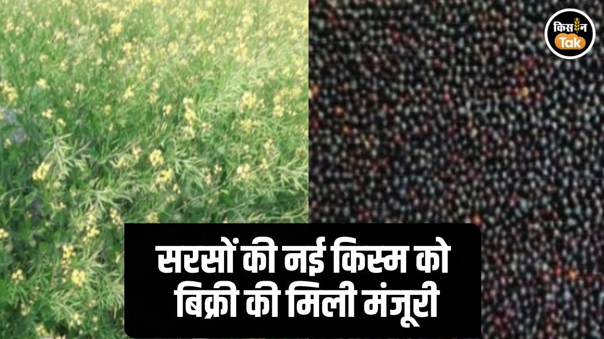 Govardhan Mustard Variety Sale Permission