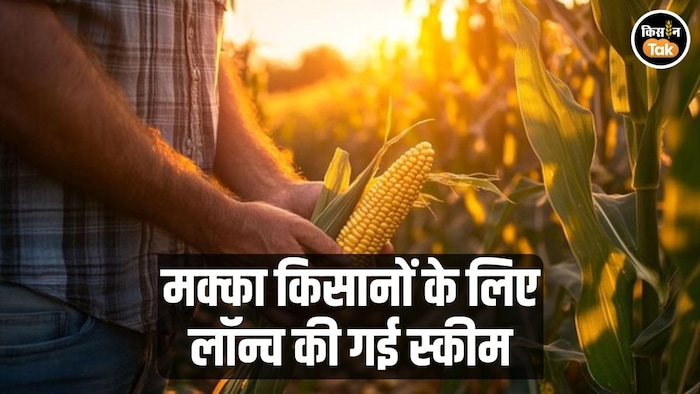 मक्का किसानों को मिलेगा सही दाम