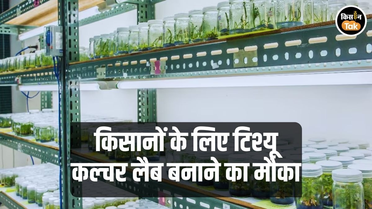 Tissue Culture Lab बनाने पर ये सरकार दे रही बंपर सब्सिडी, ऐसे उठाएं योजना का लाभ