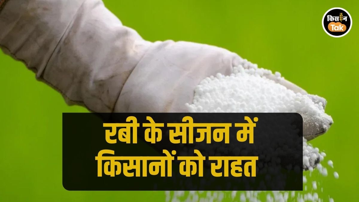 Fertilizer Subsidy: रबी फसलों के लिए नई उर्वरक सब्सिडी घोषित, इस बार मिलेगी इतनी ज्यादा राहत 