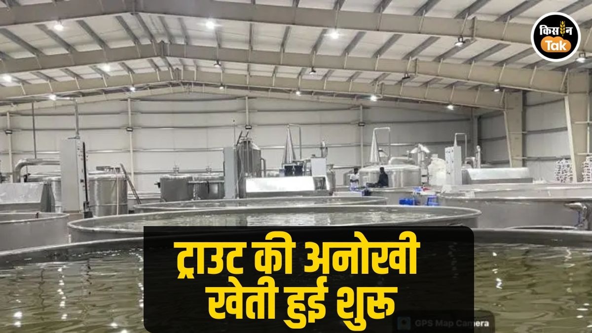 अब गर्म जमीन पर भी उगेगी ट्राउट मछली