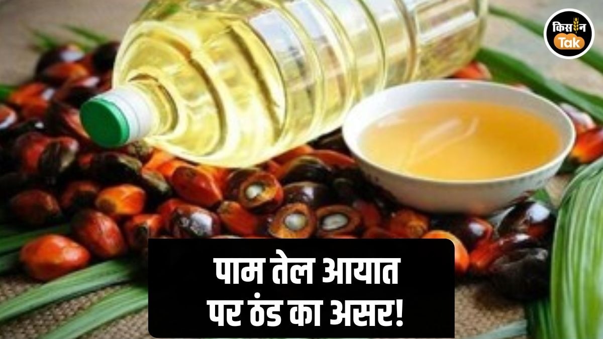 Palm Oil Import: द‍िसंबर में पाम ऑयल के आयात में बड़ी गिरावट, इन खाद्य तेलों का इंपोर्ट बढ़ा