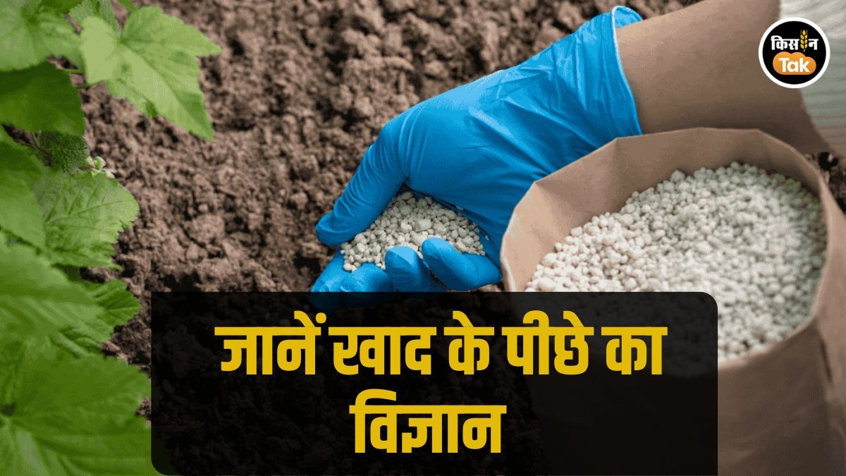 Gardening Tips: आपके बगीचे के लिए कौन सा उर्वरक या खाद है बेस्‍ट, जानें इसका पूरा विज्ञान 
