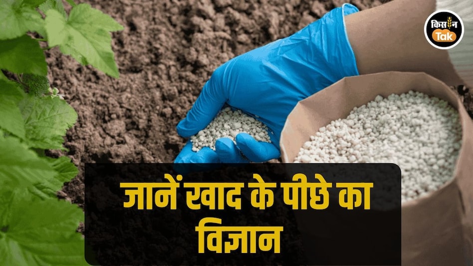 Gardening Tips: आपके बगीचे के लिए कौन सा उर्वरक या खाद है बेस्ट, जानें इसका पूरा विज्ञान Gardening Tips: आपके बगीचे के लिए कौन सा उर्वरक या खाद है बेस्ट, जानें इसका पूरा विज्ञान